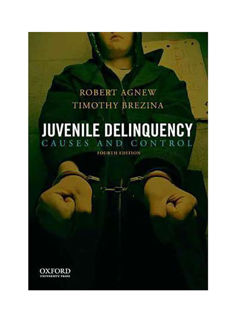 Juvenile Delinquency : Causes And Control Paperback