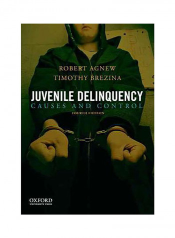 Juvenile Delinquency : Causes And Control Paperback