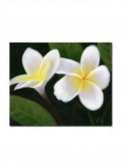 Hawaiian Lei Flowers Canvas Wall Art Multicolour 18 x 24inch