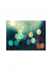 Rainbow Seeds Botanical I Canvas Wall Art Multicolour 14 x 19inch