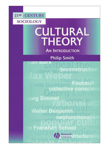 Cultural Theory Paperback