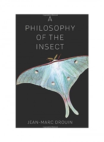 A Philosophy Of The Insect Hardcover English by Jean-Marc Drouin