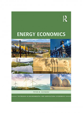 Energy Economics Paperback
