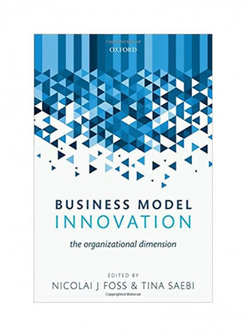Business Model Innovation Paperback