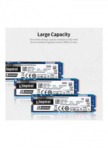 A2000 Solid State Drive 1TB Blue/Black