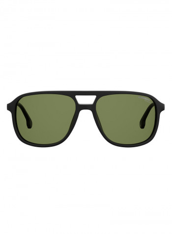 Navigator Sunglasses