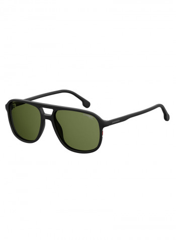Navigator Sunglasses
