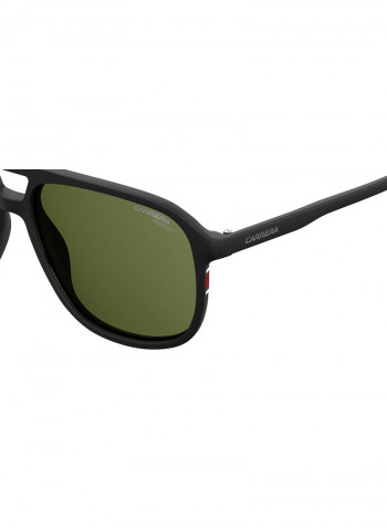 Navigator Sunglasses