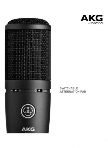 Recording Condenser Microphone AKG P120 Black