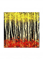 White Aspens 2 Artwork Canvas Wall Art Multicolour 24 x 24inch