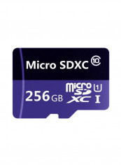 بطاقة ذاكرة microSDXC من الفئة 10 تأتي مع محول 256غيغابايت أسود/أزرق
