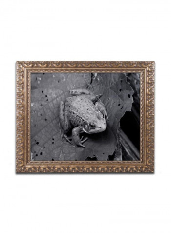 Northern Green Frog Wall Art Black 11 x 14inch