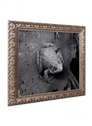 Northern Green Frog Wall Art Black 11 x 14inch