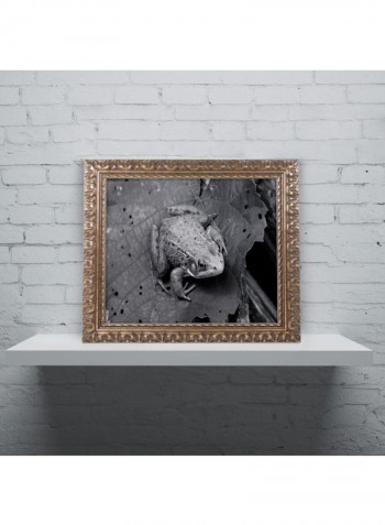 Northern Green Frog Wall Art Black 11 x 14inch