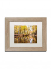 Beaver Creek 3 Birch Frame Wall Art Multicolour 11 x 14inch