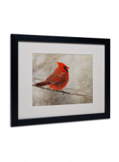 Cardinal In Winter Framed Wall Art Multicolour 16 x 20inch