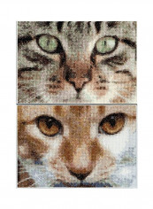 2-Piece Cats Tess Plus Simba on Aida Counted Cross Stitch Kit Beige/Black/White