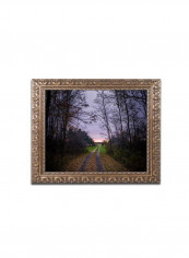 Rig Framed Wall Art Multicolour 11 x 14inch reviews Rig Framed Wall Art Multicolour 11 x 14inch