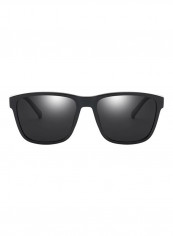 Men's Wayfarer Sunglasses