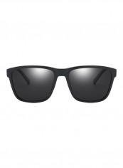 Men's Wayfarer Sunglasses