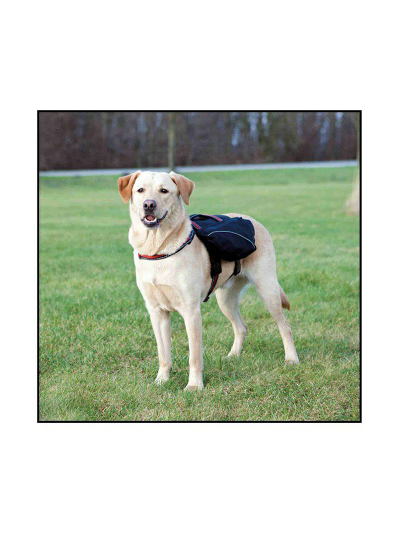 Nylon Backpack For Dogs Black/Red 0cm