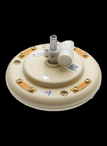 Regal Gold Ceiling Fan 65 W 250571 Beige