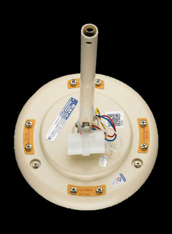 Regal Gold Ceiling Fan 65 W 250571 Beige