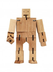 Cubebot Model