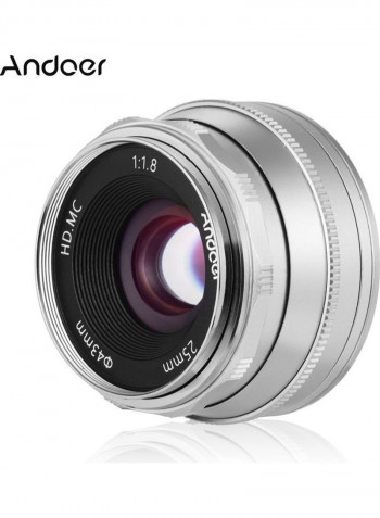 Manual Focus Wide Angle Fisheye Lens Silver