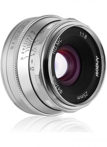 Manual Focus Wide Angle Fisheye Lens Silver