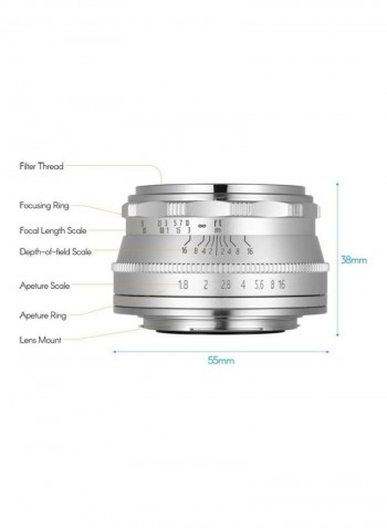 Manual Focus Wide Angle Fisheye Lens Silver