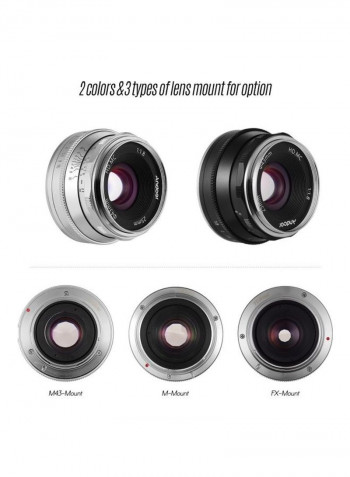 Manual Focus Wide Angle Fisheye Lens Silver