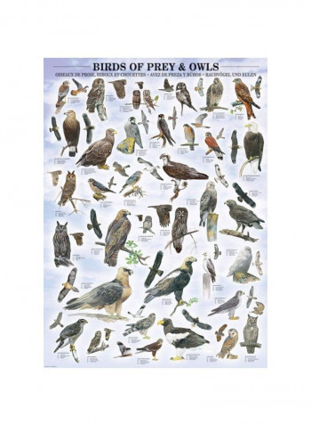 1000-Piece Birds Of Prey And Owls Jigsaw Puzzle 6000-0316