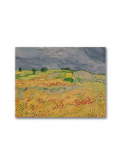 Pity Framed Wall Art multicolour 11 x 14inch