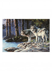 3-Piece Wolves Paint By Numbers Kit Blue/Brown/White reviews 3-Piece Wolves Paint By Numbers Kit Blue/Brown/White