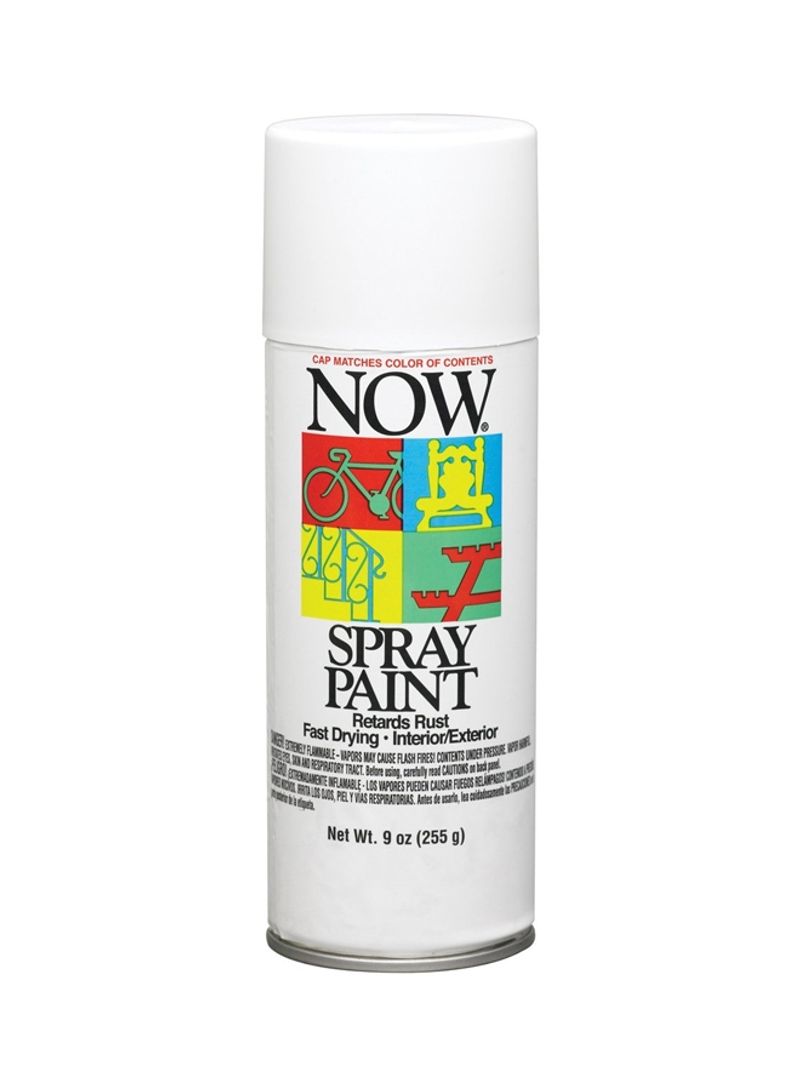 Now Spray Paint White