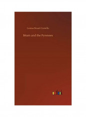 Béarn And The Pyrenees Hardcover English by Louisa Stuart Costello