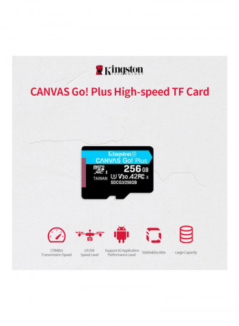 Canvas Go! Plus Micro SDXC I Memory Card 256GB Black/Blue/White