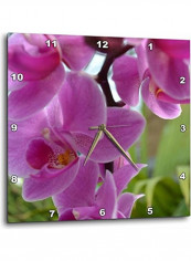 Pink Orchids Wall Clock Pink 15 x 15inch