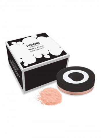 Uber Finishing Natural Mineral Loose Setting Powder fx350