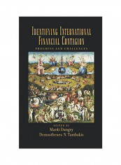 Identifying International Financial Contagion: Progress and Challenges Hardcover