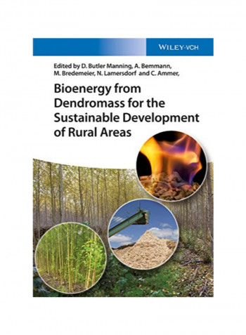 Bioenergy From Dendromass For The Sustainable Development Of Rural Areas Hardcover 1