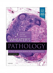 Wheater'S Pathology Paperback English by Geraldine O'Dowd