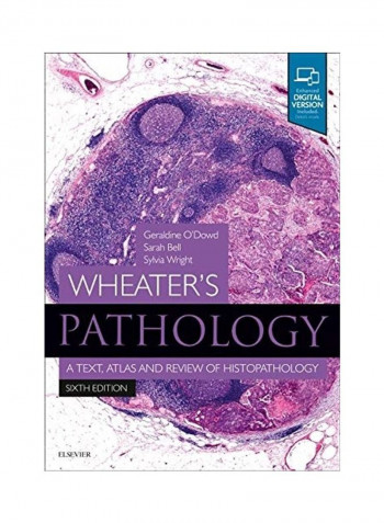 Wheater'S Pathology Paperback English by Geraldine O'Dowd