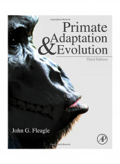 Primate Adaptation And Evolution Hardcover 3