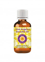 Pure Angelica Essential Oil Multicolour 30ml reviews Pure Angelica Essential Oil Multicolour 30ml