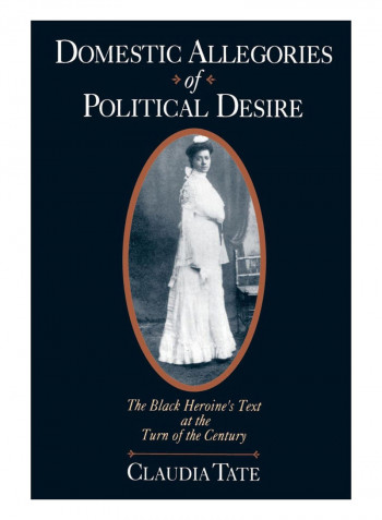 Domestic Allegories Of Political Desire Paperback