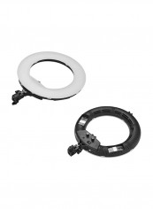 LED Ring Anchor Live Light Black reviews LED Ring Anchor Live Light Black