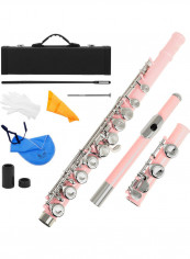 16-Hole Western Concert Flute Nickel Plated Instrument with Accessories reviews 16-Hole Western Concert Flute Nickel Plated Instrument with Accessories