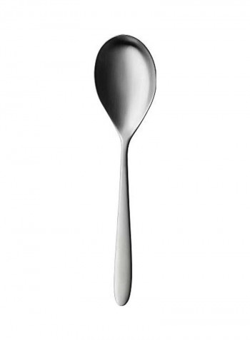 Stainless Steel Serving Spoon Silver
